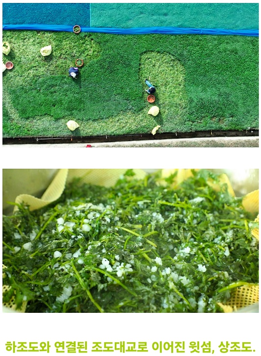 한국기행-조도-쑥-떡-택배