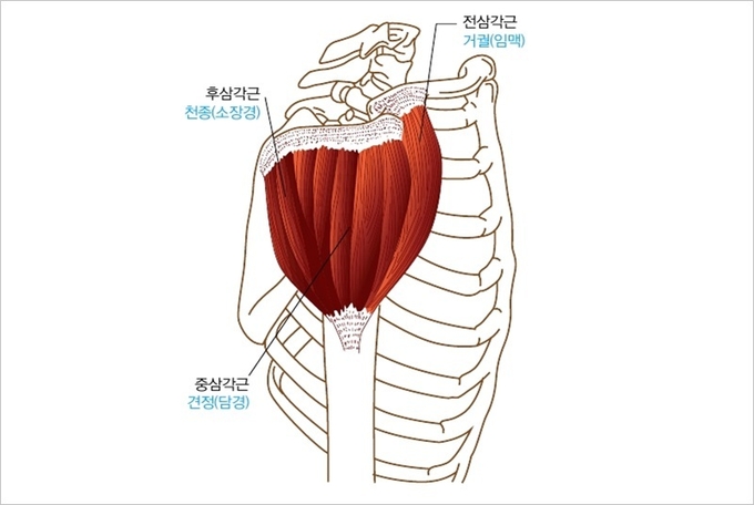 심장이 두근거리는 증상
