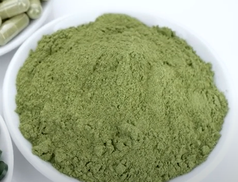 클로렐라(Chlorella) 분말
