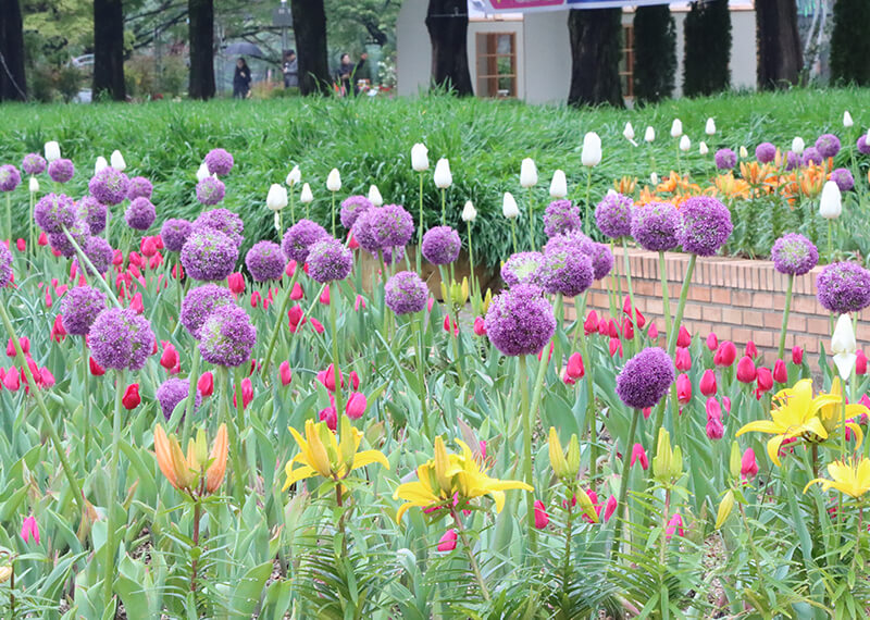 고양 꽃 박람회 가는길&amp;#44; 주차장