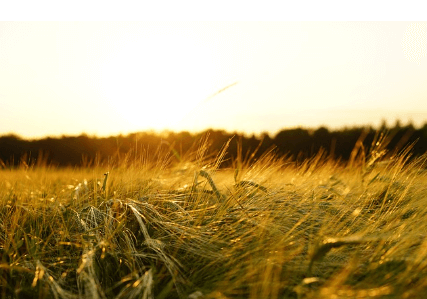 2024 기본형 공익직불금 신청자격 대상 신청방법