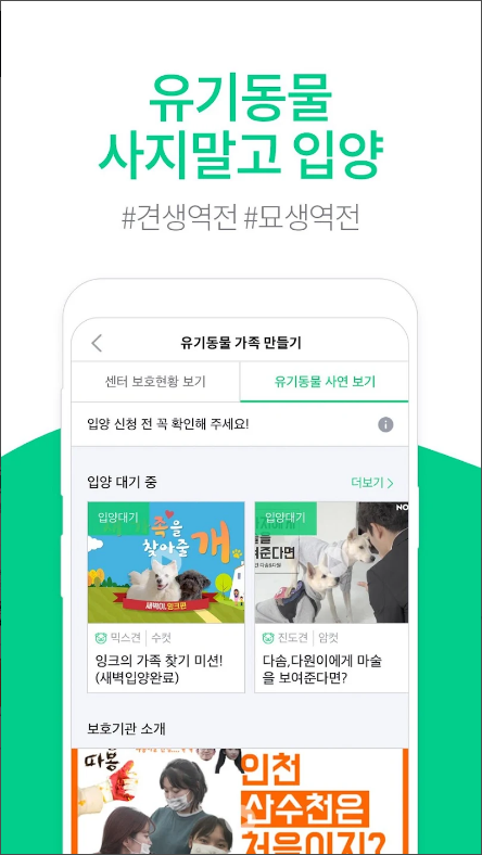아지냥이 - 반려동물 필수앱