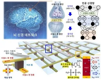뉴로모픽 대장주 관련주 TOP5 총정리_2