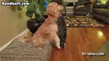 img.webp?credential=yqXZFxpELC7KVnFOS48ylbz2pIh7yKj8&expires=1767193199&allow_ip=&allow_referer=&signature=12RCr%2FfmWR0wW%2BK%2Fhj2HKOSeJ%2Bo%3D