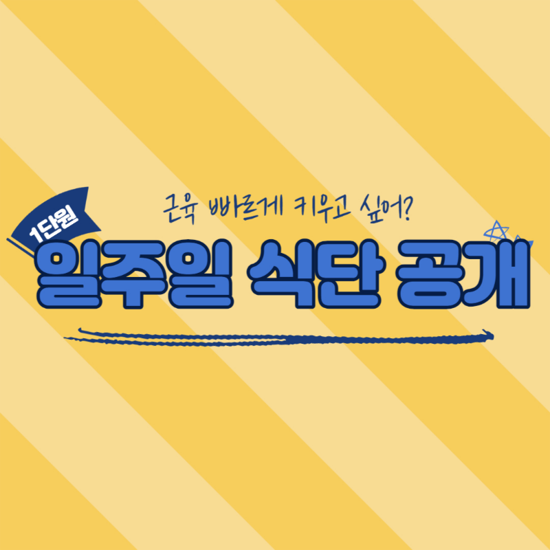 근육량상승