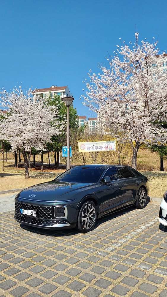 그랜저-밤부차콜그린펄