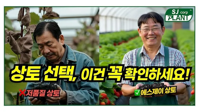 상토 선택 화분심기 초보기준 비료섞는법 안전 가이드_1