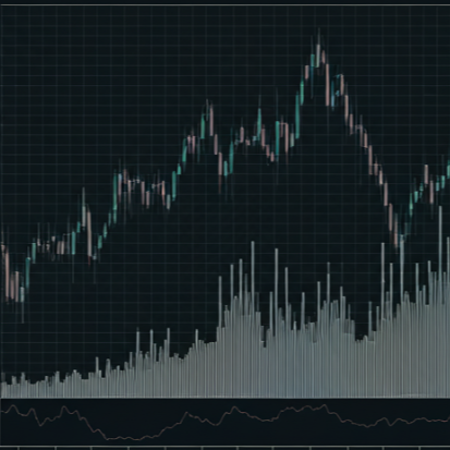 투자 주의사항 대응 전략