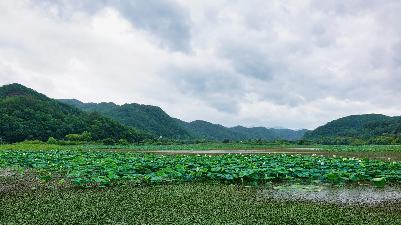 합천 관련 사진