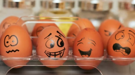 계란 보관법, 고르는법