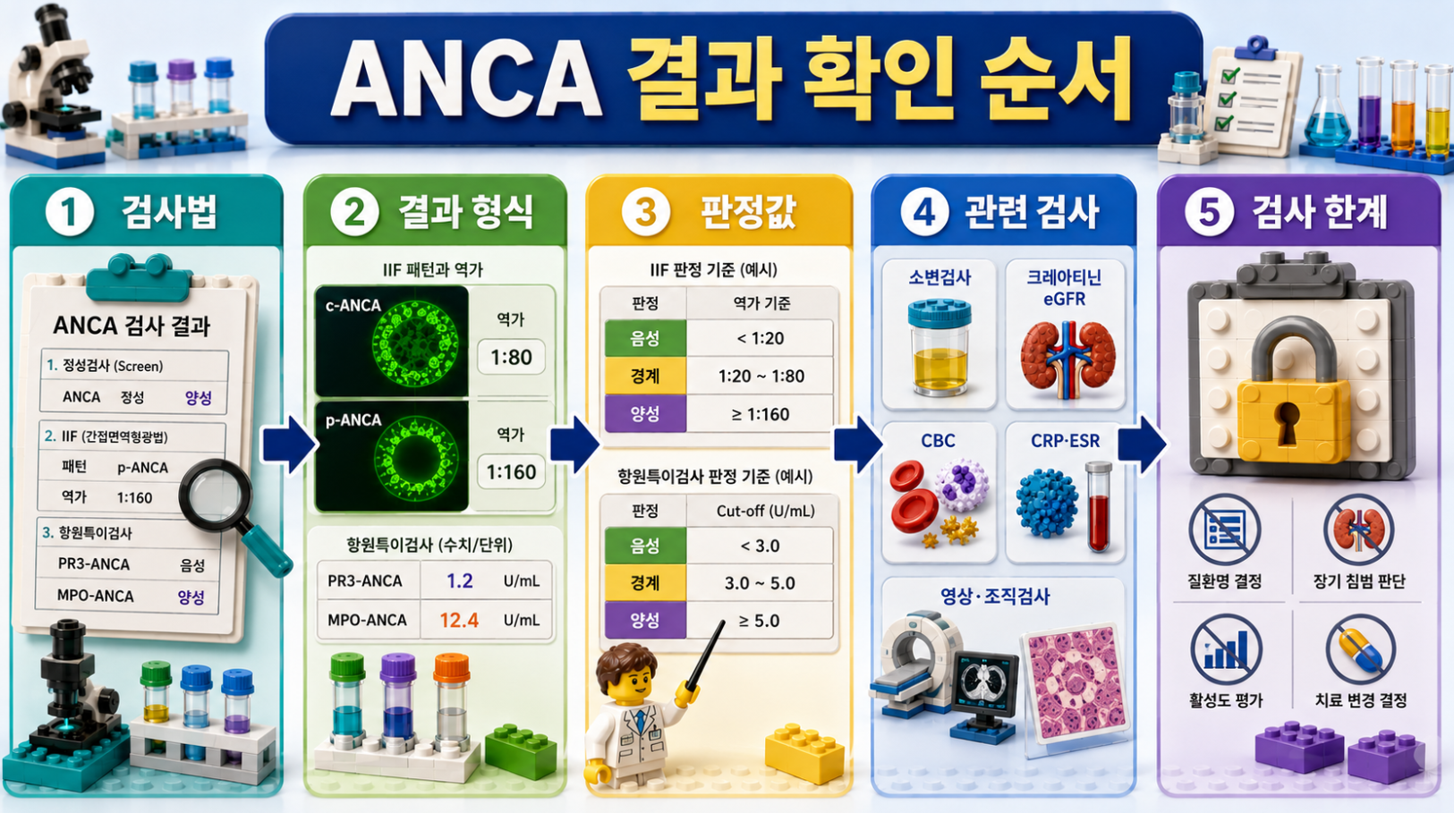 ANCA 검사결과지를 올바른 순서로 확인하는 방법과 검사 한계를 단계별로 설명한 의료 인포그래픽