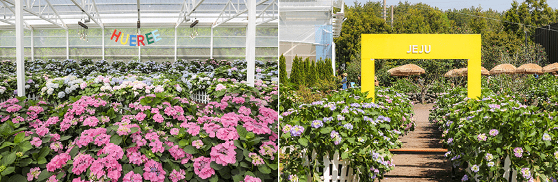 휴애리 자연생활공원