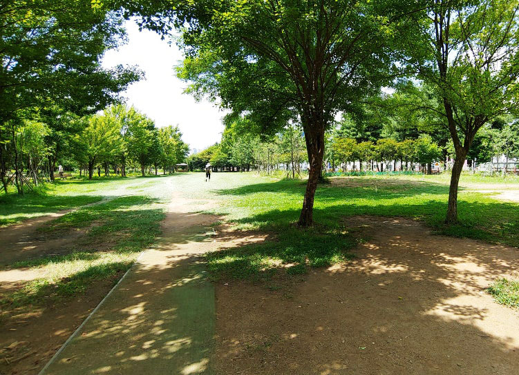 광주 첨단대상파크골프장. 광주광역시 북구 추암로 190