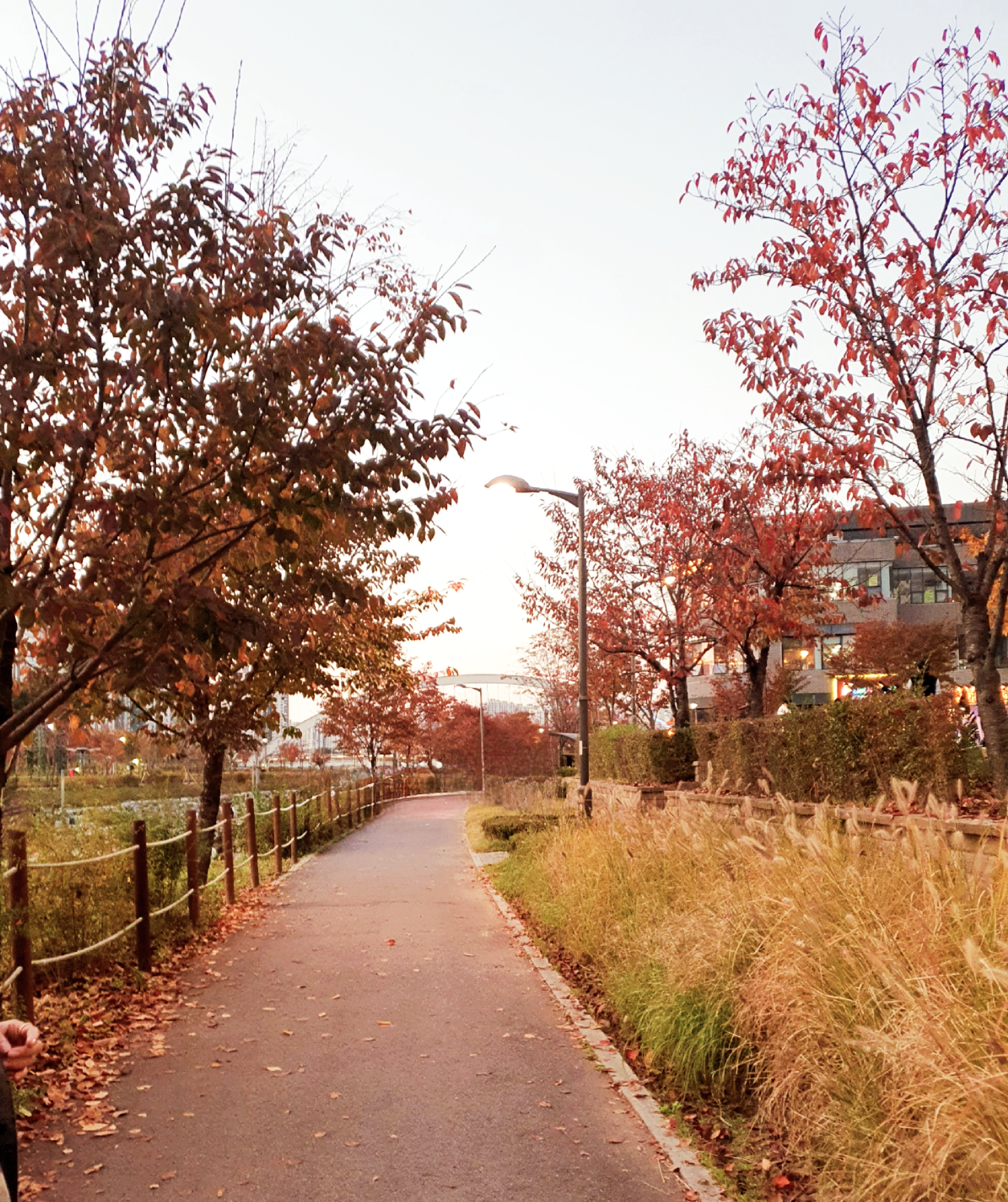 가을의-호수공원이-예쁩니다.