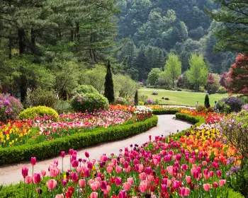 아침고요수목원_2