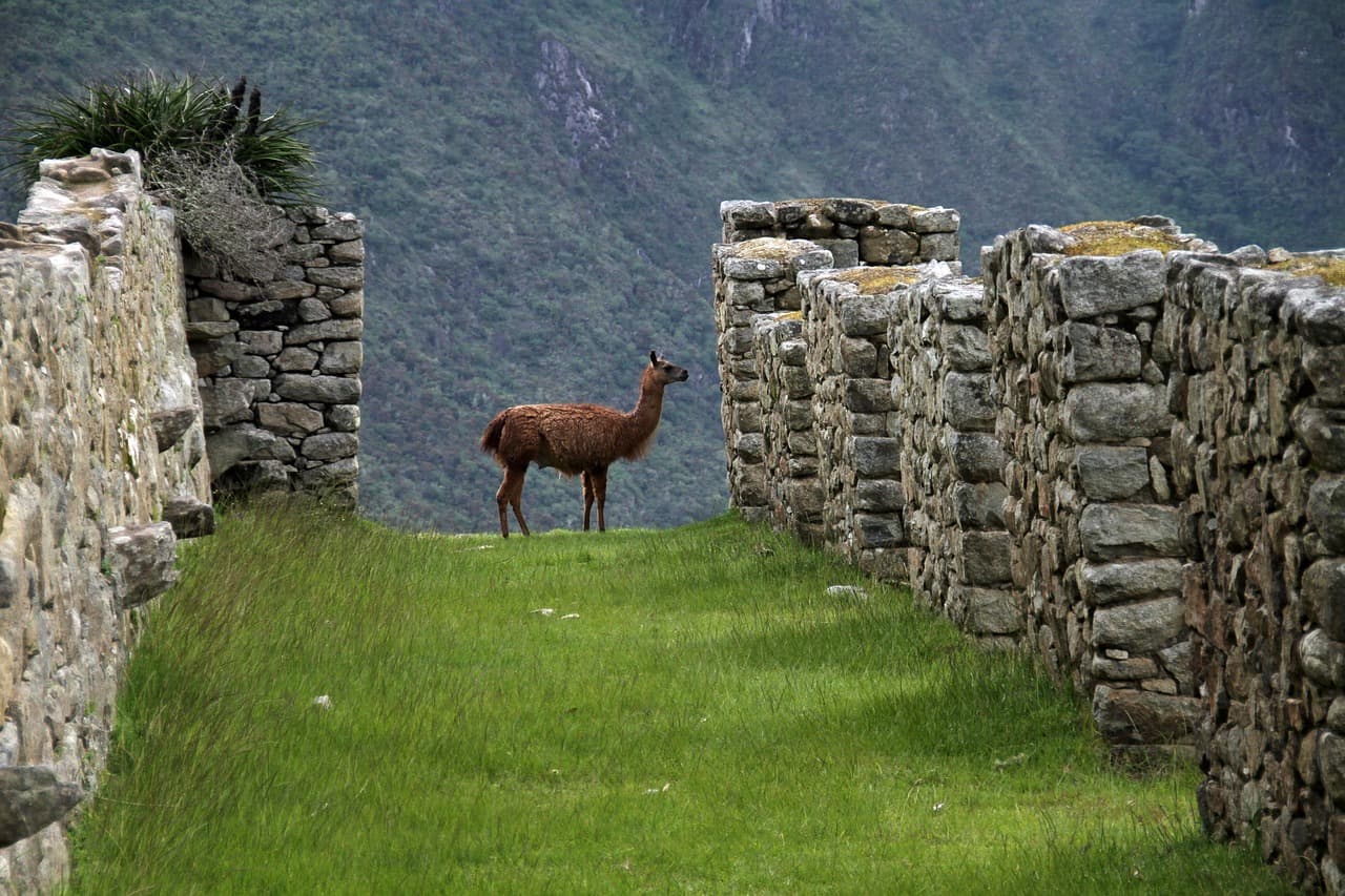 마추픽추(Machu Picchu): 잉카 문명의 정수, 페루의 숨겨진 보석