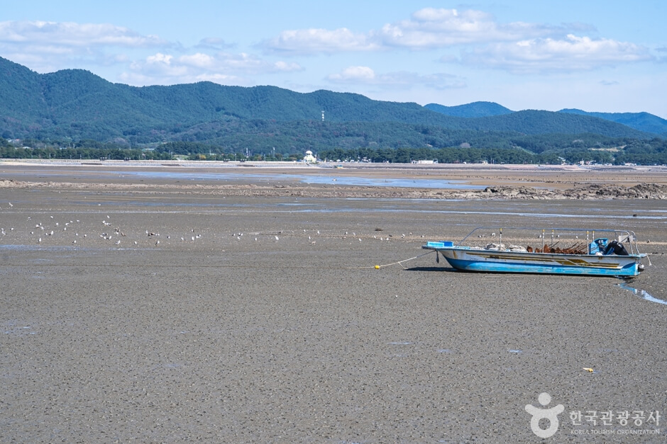 서천 가볼만한곳 베스트 10