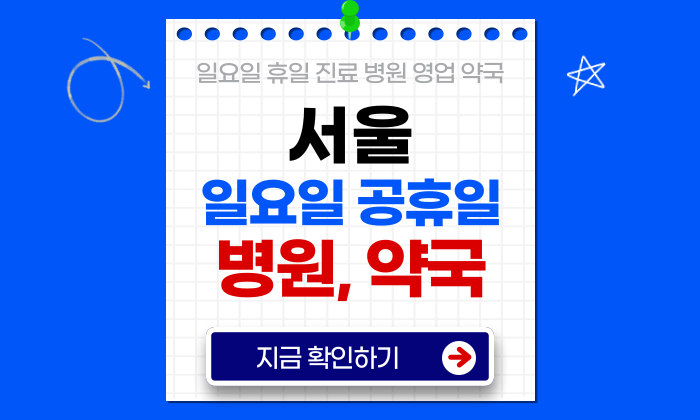 서울 일요일 진료 병원