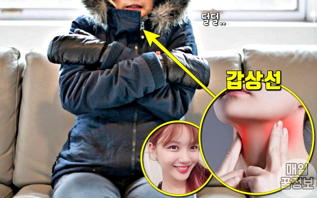 집에서 패딩 입고 갑상선기능저하증,추위 많이 타는 사람