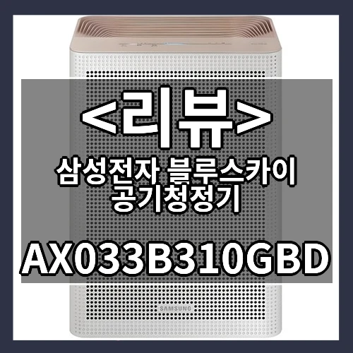 삼성전자 블루스카이 공기청정기 (AX033B310GBD)