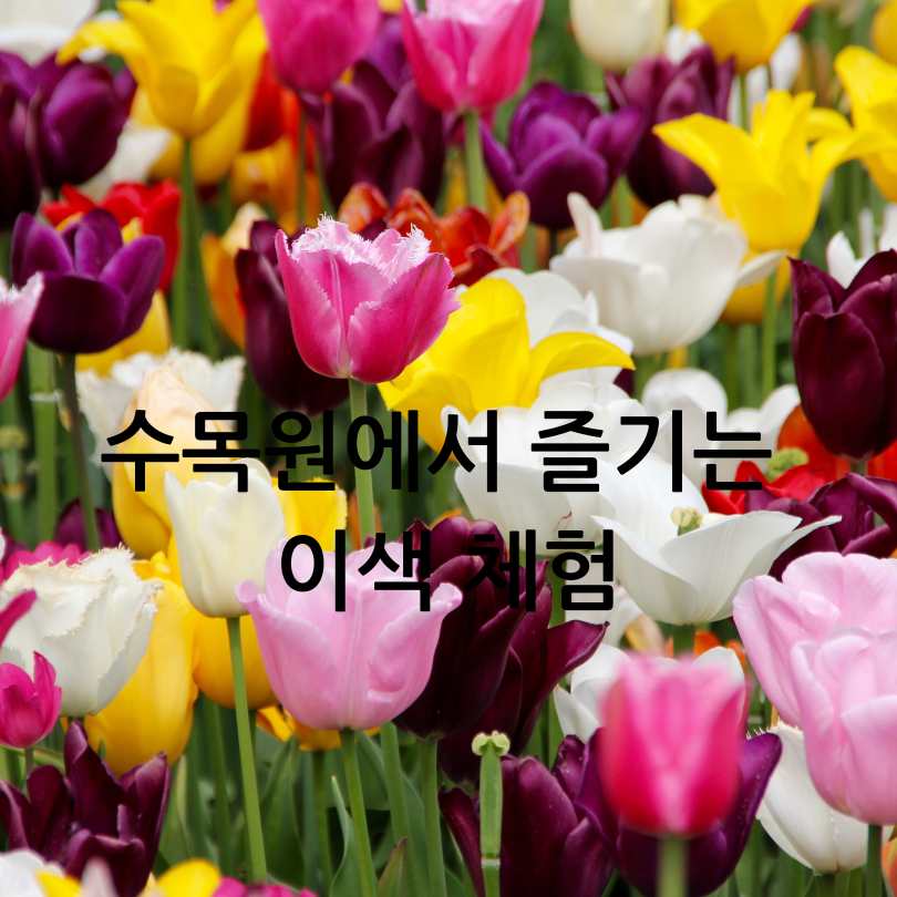 아침고요수목원 2025 봄꽃페스타