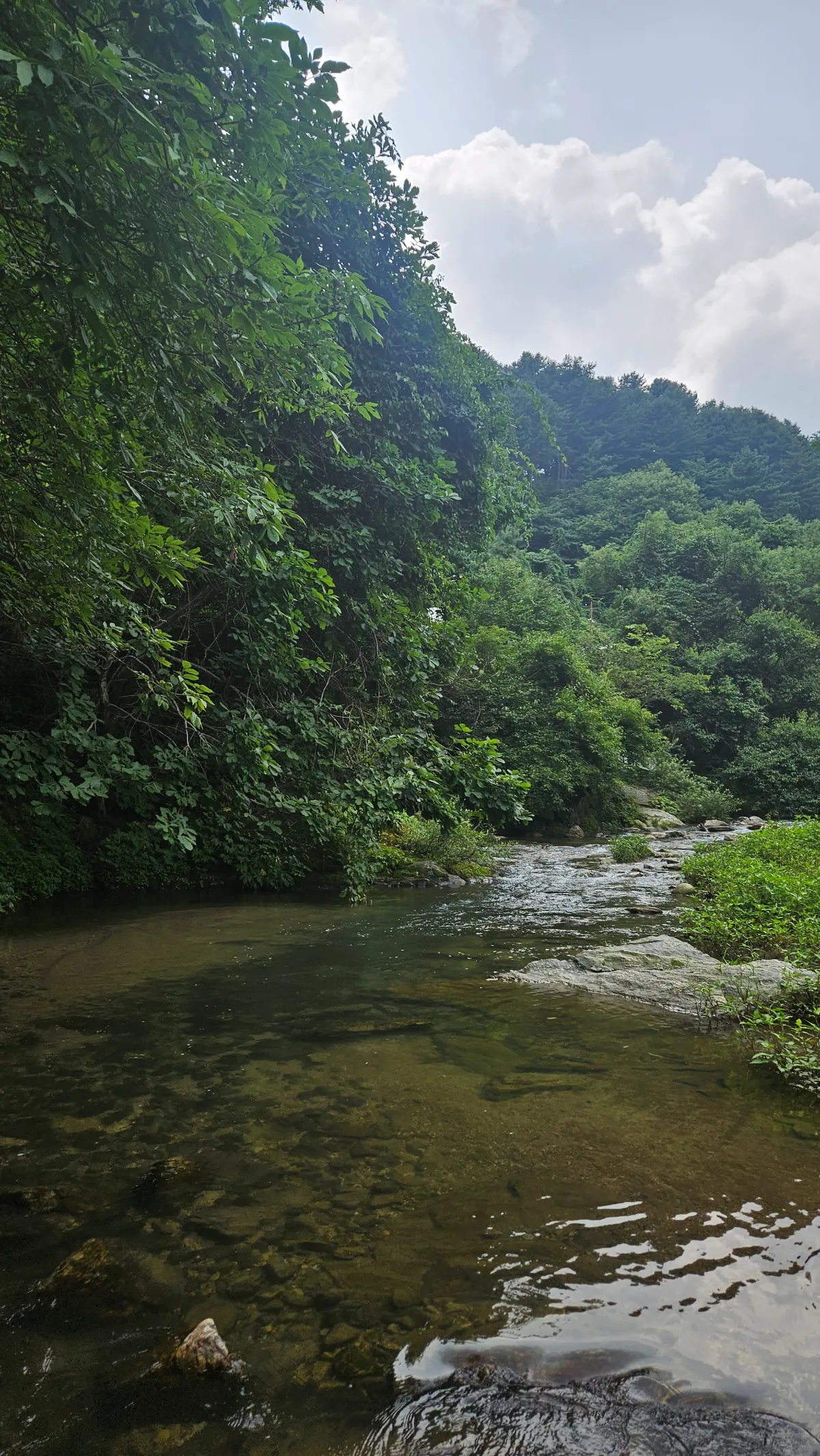 맑은-하늘과-계곡
