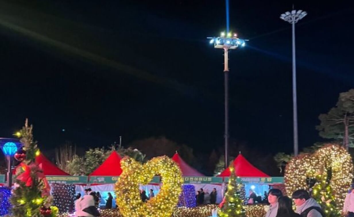 함평 겨울빛축제