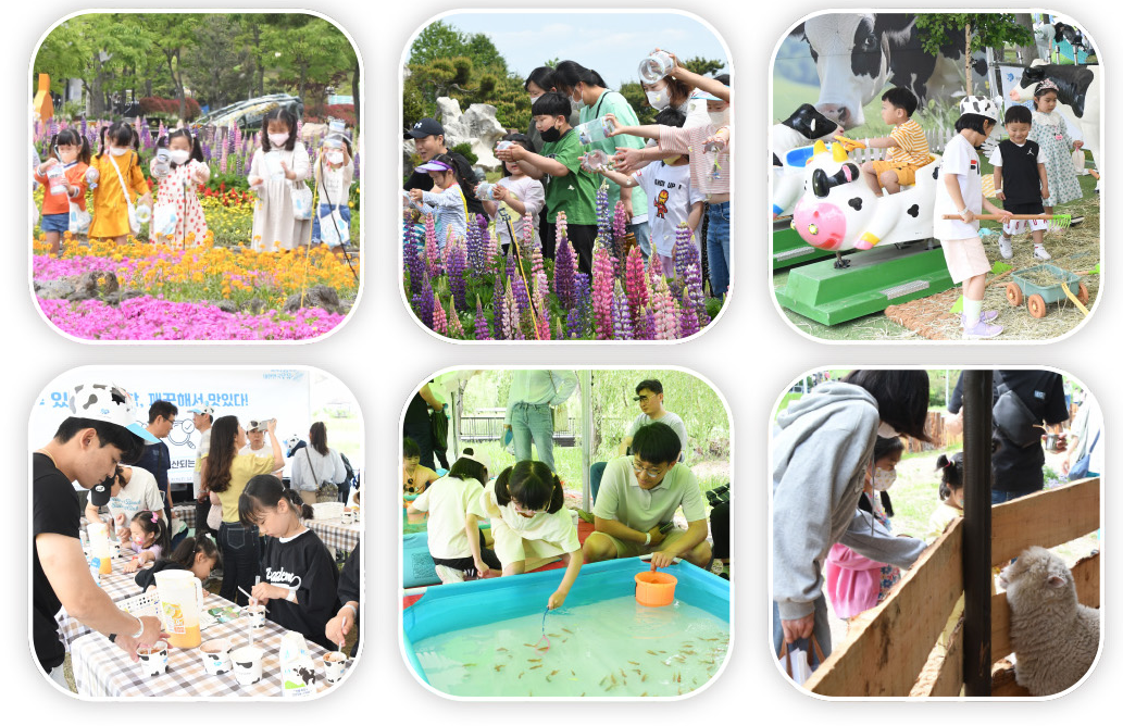 2025 함평나비축제 체험프로그램