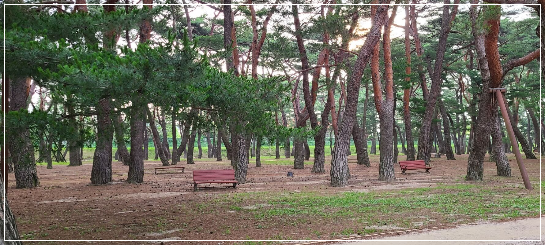 하동 가볼만한곳 베스트10 송림공원