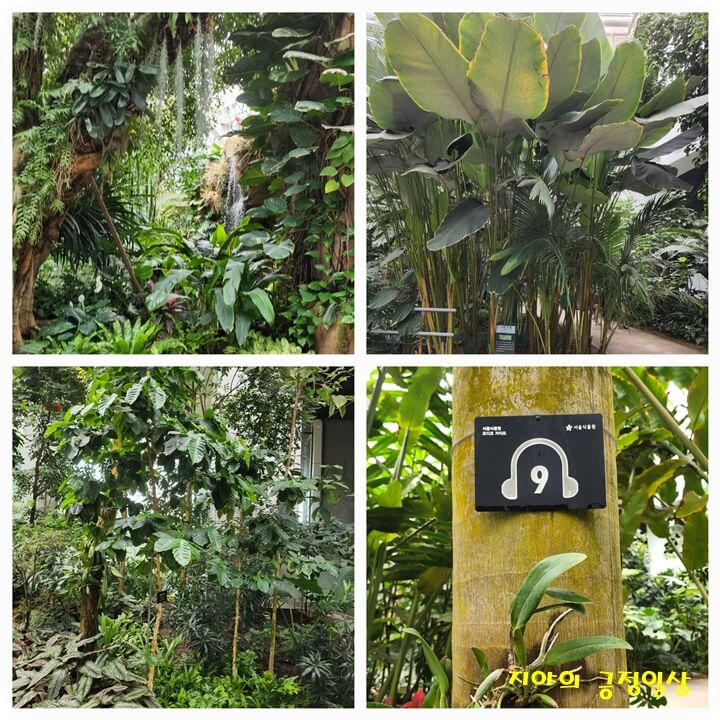 나무들과 오디오 가이드