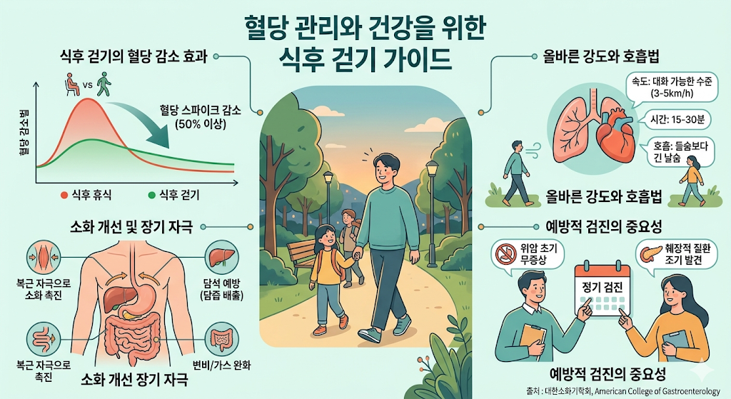 식후걷기, 혈당조절
