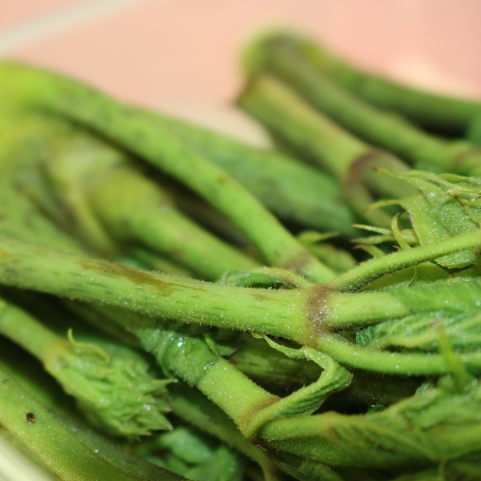 두릅장아찌 레시피