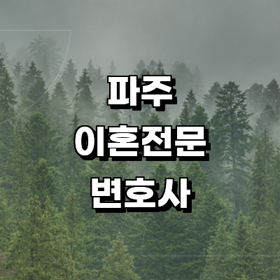 파주시 이혼 변호사
