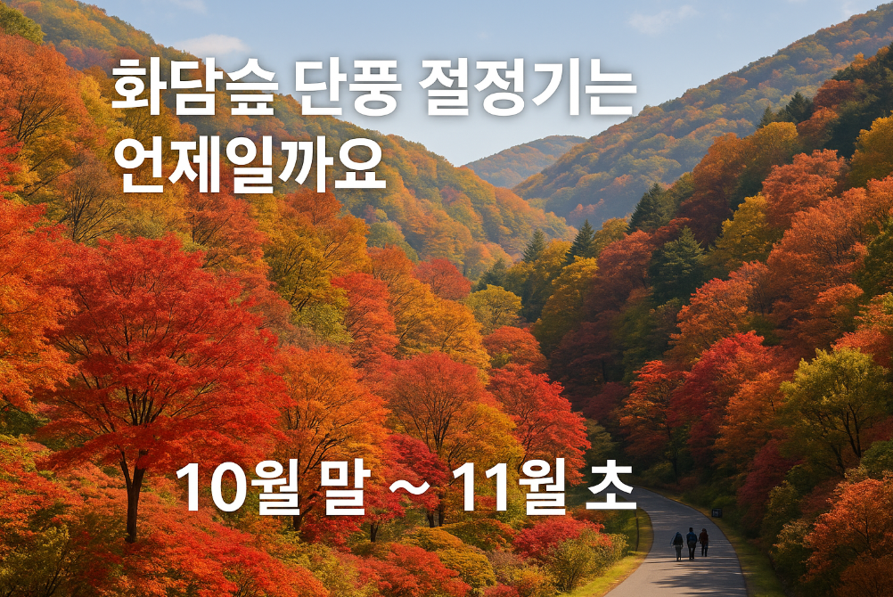 화담숲 단풍 절정기는 언제일까요?