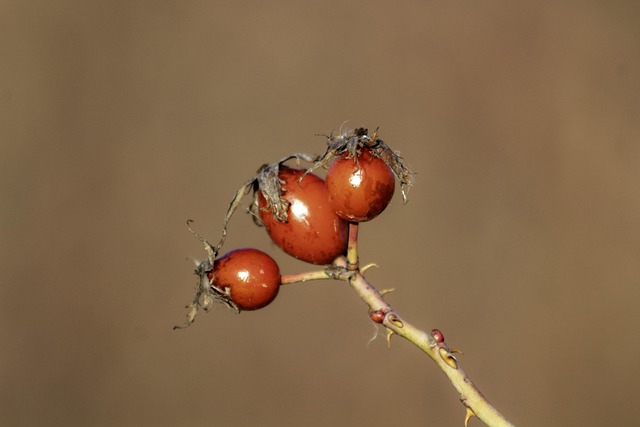 가래가 생기는 원인 8