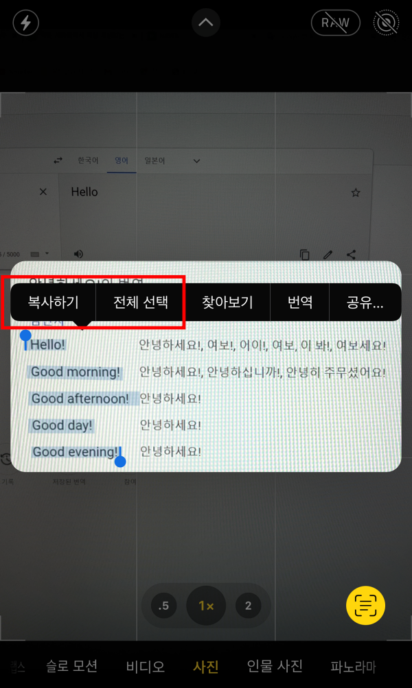 아이폰 사진의 텍스트 복사