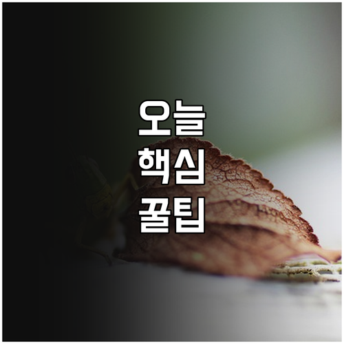 대구 다문화가족 2025 위기 지원 ..