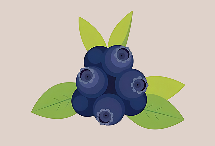 싱싱한-블루베리