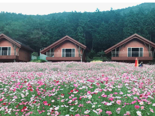 팔영산 편백치유의숲