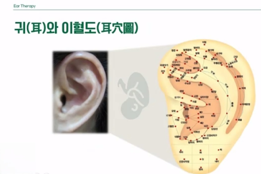 귀와 이혈도