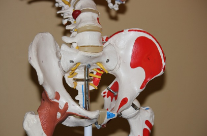 고관절 통증 증상, 통증 원인, 수술 총정리 (2024ver)