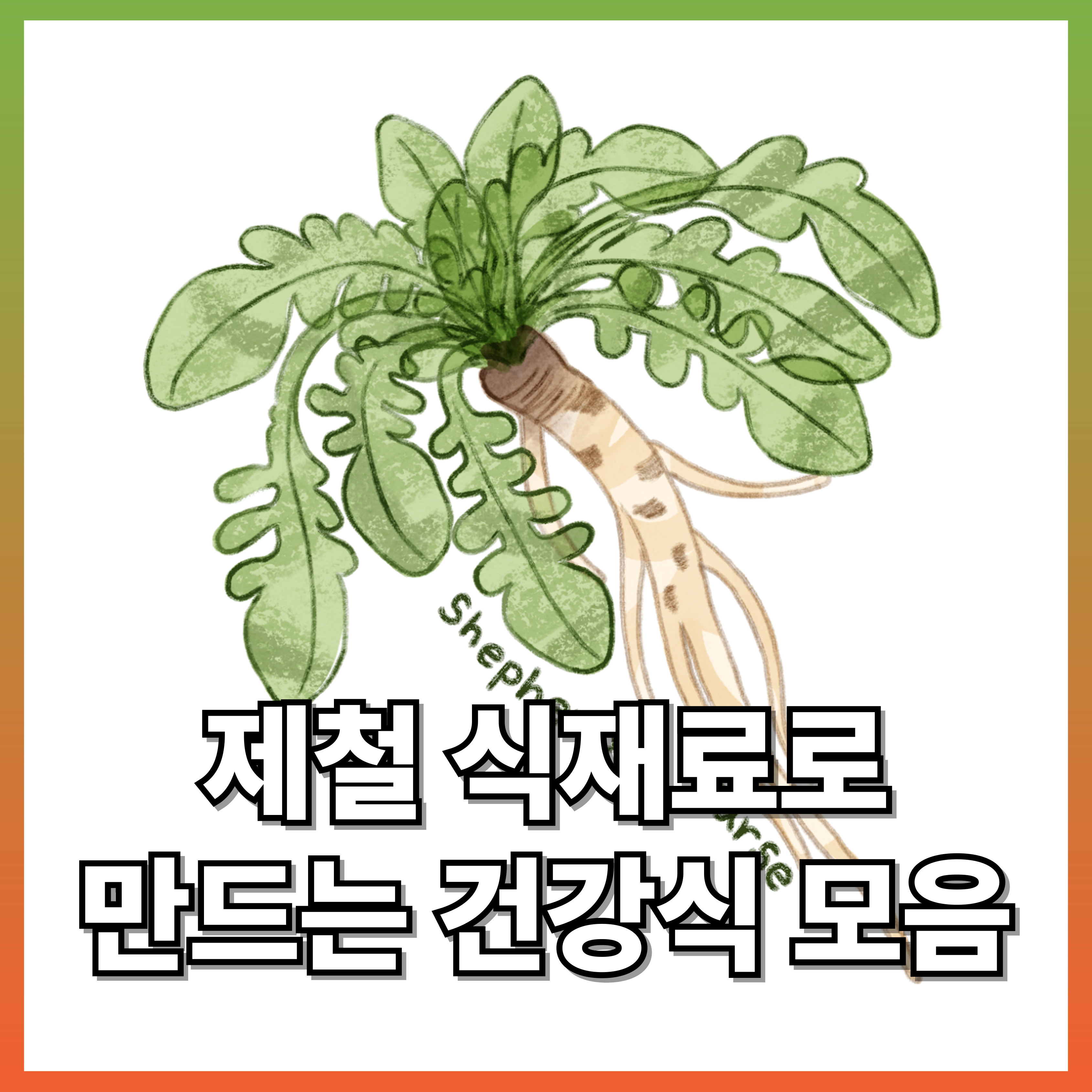 제철 식재료로 만드는 건강식 요리 모음