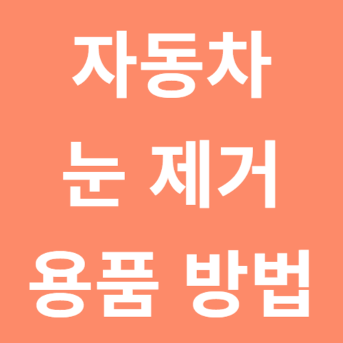 자동차 눈 제거 용품 방법