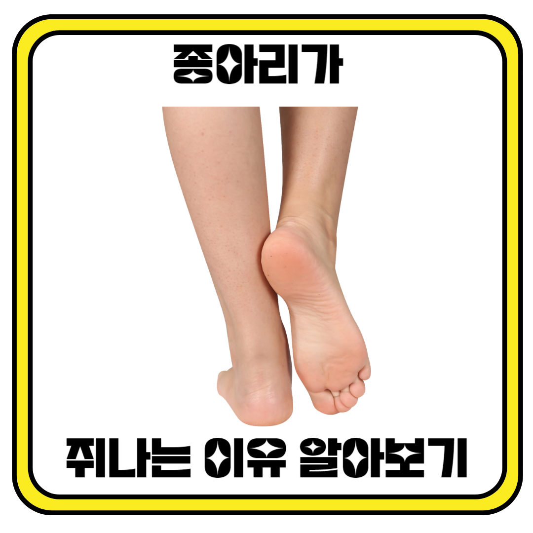 종아리가 쥐나는 이유