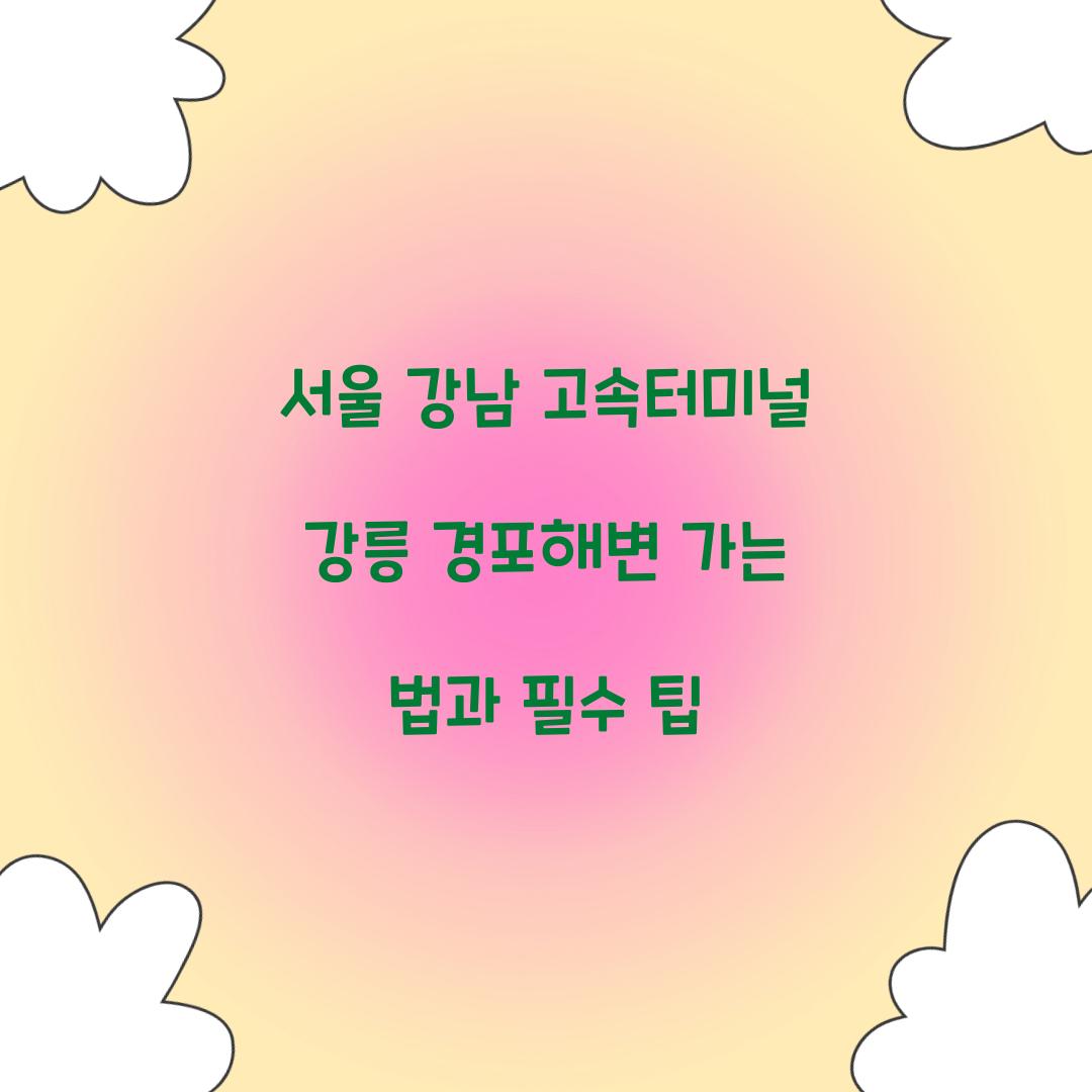 서울 강남 고속터미널 강릉 경포해변