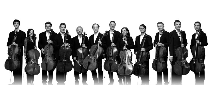 베를린 필 12 첼리스트