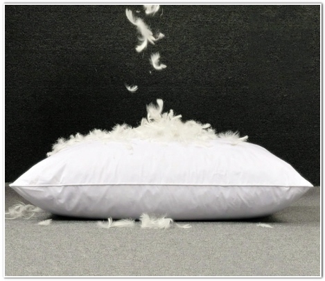 베개 세탁법 솜, 거위털, 라텍스 및 메모리폼