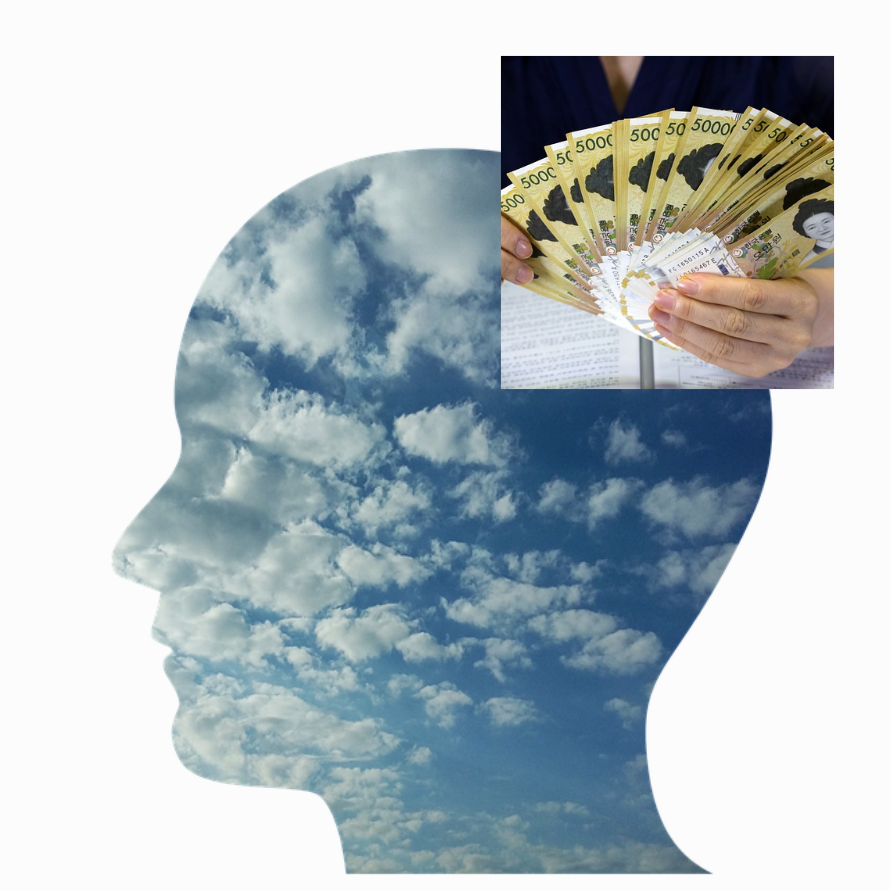 돈의 심리학 사진