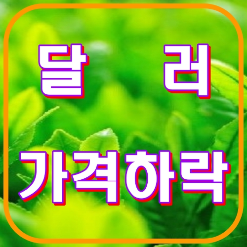 달러가격하락