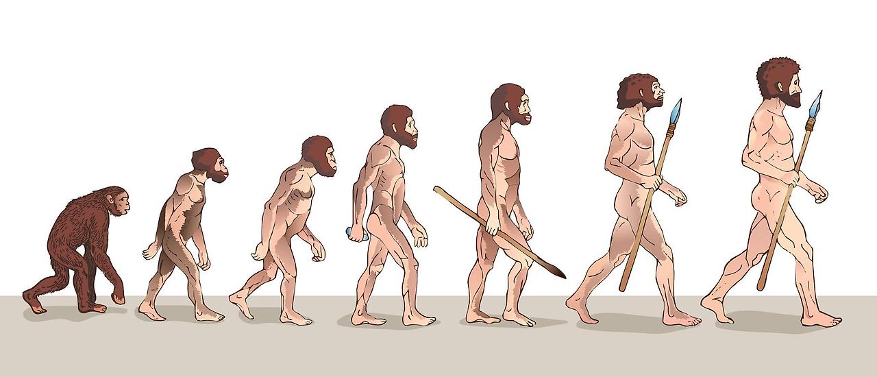 사피엔스 구매하러 가기